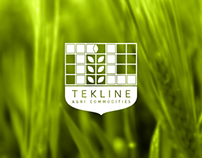 TEKLINE — Logotype & Branding
