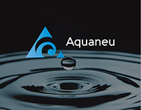 Aquaneu Water Brand Identity
