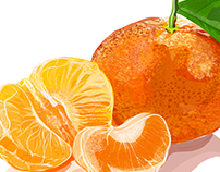 Illustration: Tangerine - Mandarina