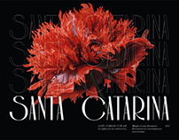 Santa Catarina Typeface | Шрифт Санта Катарина