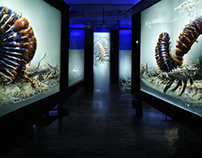 Prehistoric insect exhibition in a modern museum