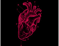 THE HEART - Visual essay