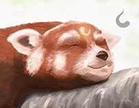 Summer Fox - Illustration