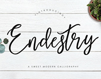 ENDESTRY CALLIGRAPHY - FREE MODERN FONT