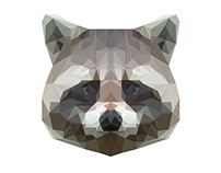 Raccoon Poly Art