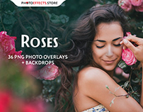 36 Rose Photo Overlays
