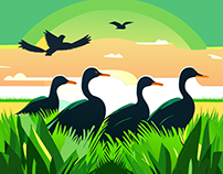 flock-of-geese-on-green-grass-field