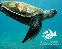 KELONIA, observatoire des tortues marines à la Réunion
