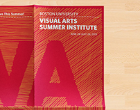 VASI (visual arts summer institute) brochure design