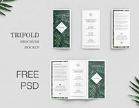 Free Trifold Brochure Mockup