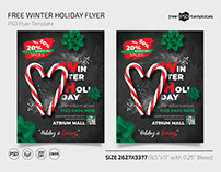 Free Winter Holiday Template + Instagram Post (PSD)