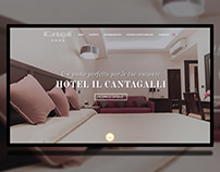Hotel, Bed and Breakfast Web Site ui ux design