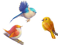 Color Birds