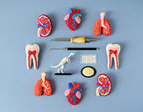 New Punch Needle Anatomy Brooches