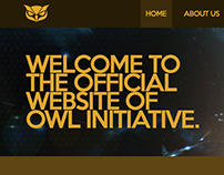 Owl Initiative Gaming Community Webdesign (and more)