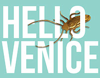 Goldenroach ‒ La Biennale di Venezia / 2017