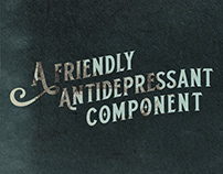 A FRIENDLY ANTIDEPRESSANT COMPONENT