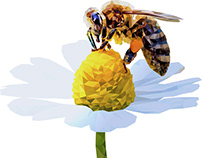 Low Poly Bee | BeeBlink Agency