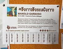 #BurroBuscaCurro