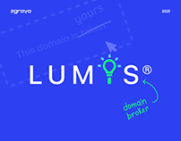 Lumis: website for a domain broker company