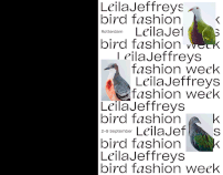 Leila Jeffreys, bird fashion week | concept identity