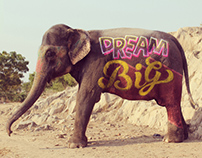 Type on Elephant- #IndiaThroughType