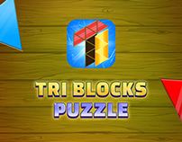 Tri Block Triangle Puzzle