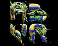 Corn Cobs Alphabet