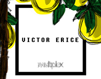 Multiplex 2017 / Victor Erice