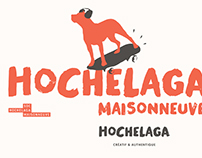 SDC Hochelaga-Maisonneuve