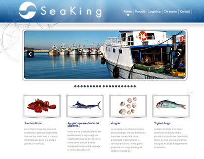 WebDesign - Seaking