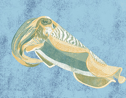 Cuttlefish - Digital Linocut