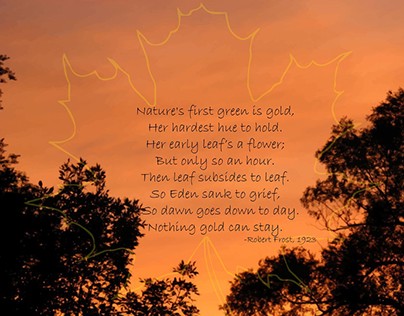 One of my favorite poems by the Great Robert Frost
