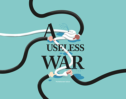 A useless war