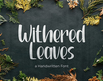 Withered Leaves - Handwritten Font