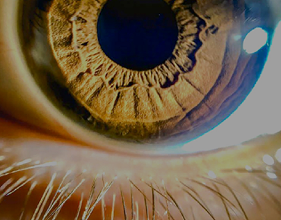 macro shot of eye