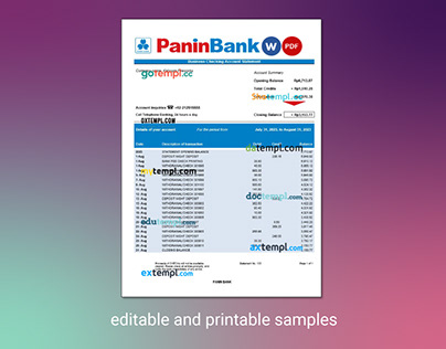 Panin Bank organization checking account statement
