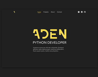 Python Developer Website Design