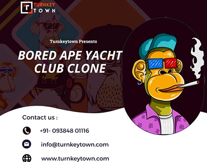 Bored Ape Yacht Club Clone By Turnkeytown