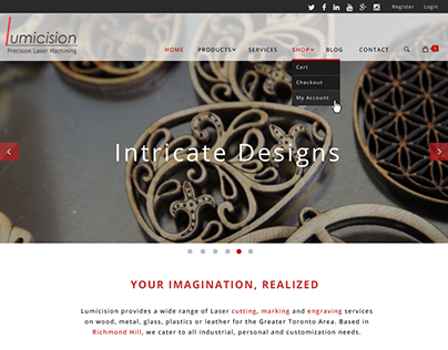 Lumicision Website Design