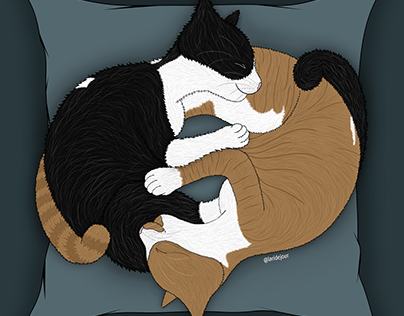 Ilustração | Yin Yang Cats