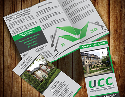 Tri-fold brochure and Flyers