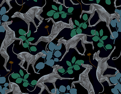 Greyhound Pattern
