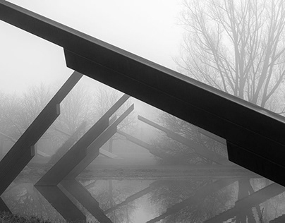 Nebel im Britzer Garten
