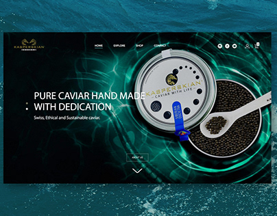 Kasperskian Caviar - Web Development, UI and UX Design