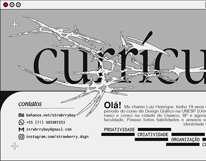 Project thumbnail - CURRICULUM VITAE