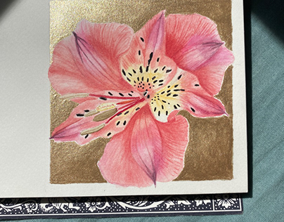 Flower Polaroid cards