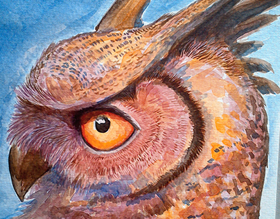 Owl Watercolors