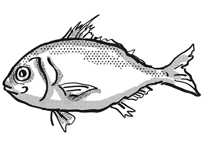 Longspine Beardfish Australian Fish Cartoon Retro Drawi