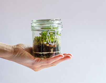 Creations and products: AB Terrariums